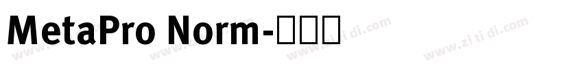 MetaPro Norm字体转换